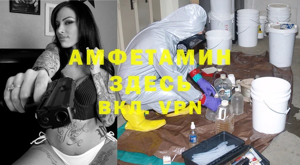 гашик Алексеевка
