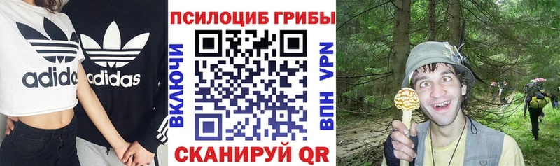 Псилоцибиновые грибы Psilocybine cubensis  Купить где  Красково 